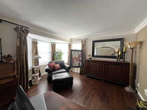 Living area featuring dark wood-style floors, crown molding, a textured ceiling, and baseboards