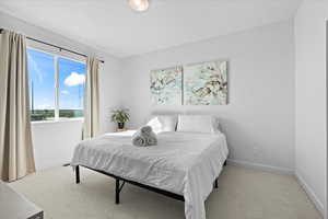 Main floor primary bedroom with great natural light