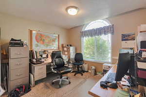 Carpeted office space with a textured ceiling