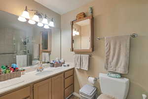 Full bathroom featuring a shower stall, toilet, and vanity