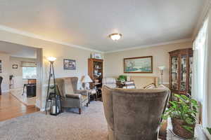 Living area featuring ornamental molding, a textured ceiling, light colored carpet, and baseboards