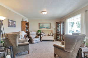 Carpeted living room with ornamental molding and a textured ceiling