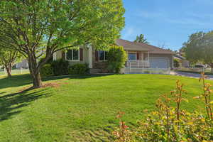 View of property hidden behind natural elements with an attached garage, stucco siding, and driveway