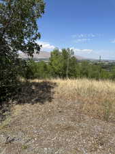 View of nature with a mountain backdrop