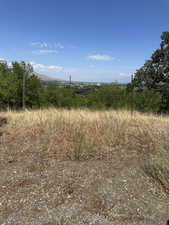 View of local wilderness with mountains