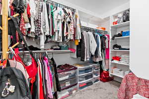 Spacious closet featuring carpet flooring