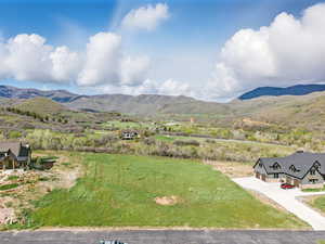 Bird's eye view of the lot looking north