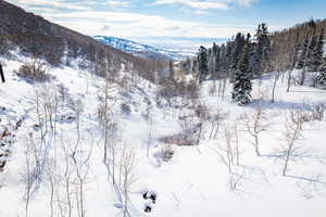 View of mountain backdrop