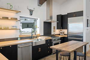 Kitchen with dark cabinets, island range hood, high quality appliances, a sink, and wooden counters