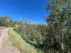 View of street with a wooded view
