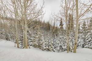 View of snow covered land