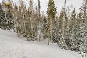 View of snow covered land