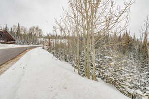 View of snowy yard