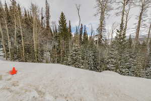 View of undeveloped land