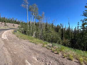 View of dirt / gravel road