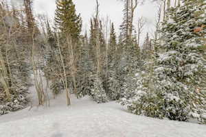 View of snowy landscape