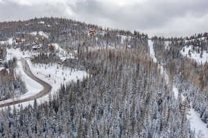 Snowy aerial view featuring a mountain view and a forest view