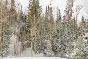 View of snow covered land