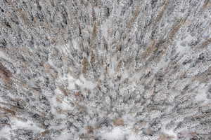 Aerial view of property's location