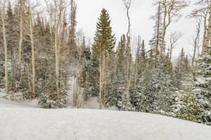 View of undeveloped land