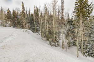 View of snowy landscape