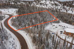 Snowy aerial view featuring a mountain view and a forest view