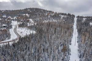 Snowy aerial view with a mountain view and a forest view
