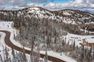 View of mountain background