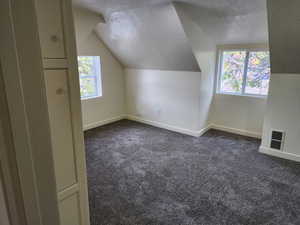Additional living space featuring a textured ceiling, dark carpet, vaulted ceiling, and baseboards
