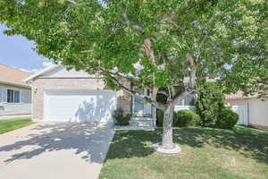 Single Level Living with Mature Trees for Shade