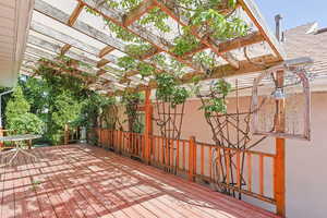 Lots of Privacy, Peace, & Shade