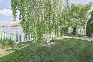 Fully Fenced Yard with Mature Trees - HOA takes care of sprinklers, lawn care, & mowing.