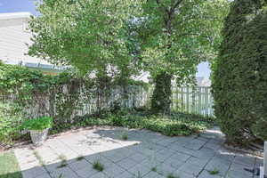 Large Patio with Mature Trees