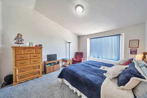 Owner's Suite/Vaulted ceiling