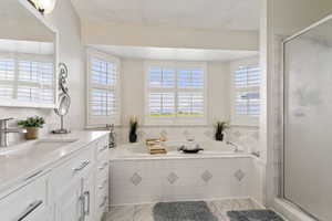 Bathroom with plenty of natural light, a shower stall, and vanity