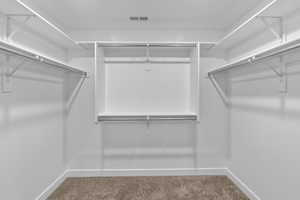 Spacious closet featuring carpet floors