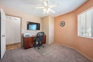 Carpeted home office featuring healthy amount of natural light, ceiling fan, a textured ceiling, and baseboards