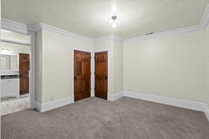 Unfurnished bedroom featuring a textured ceiling, light carpet, crown molding, a sink, and baseboards