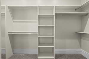 Spacious closet with carpet