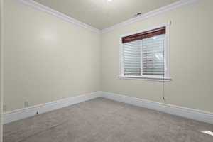 Carpeted spare room featuring ornamental molding and baseboards