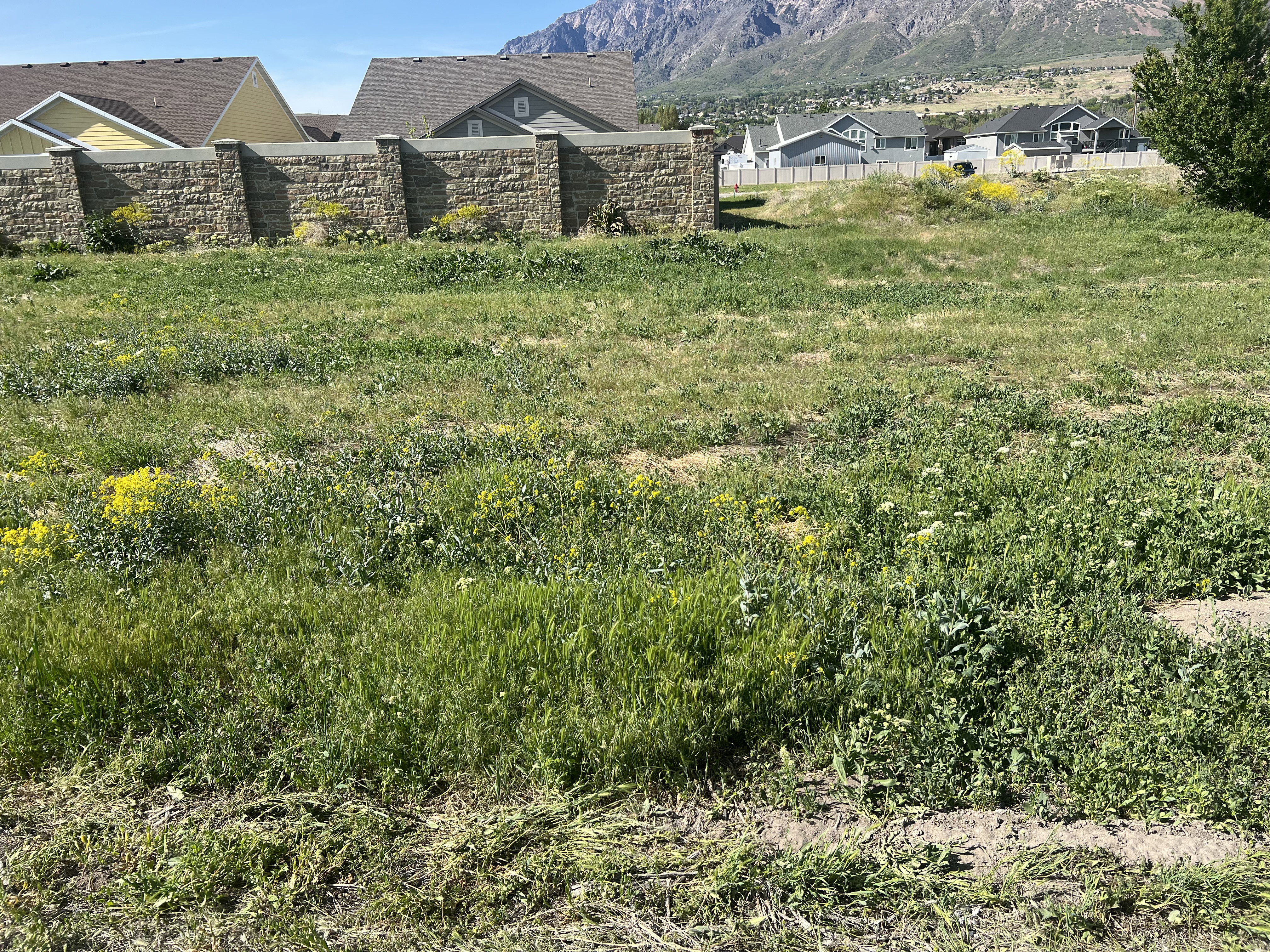 Flat Terrain