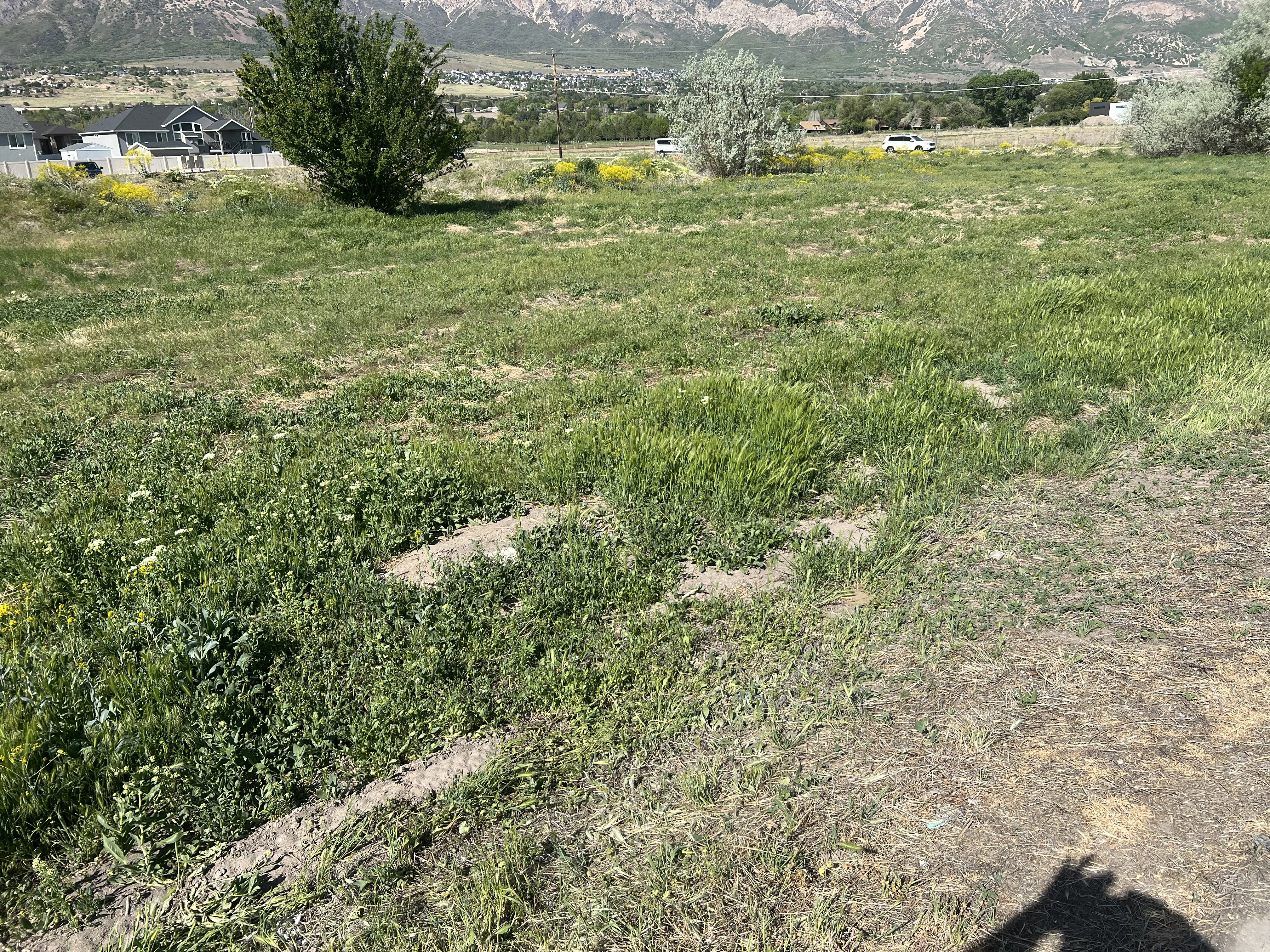 Commercial location