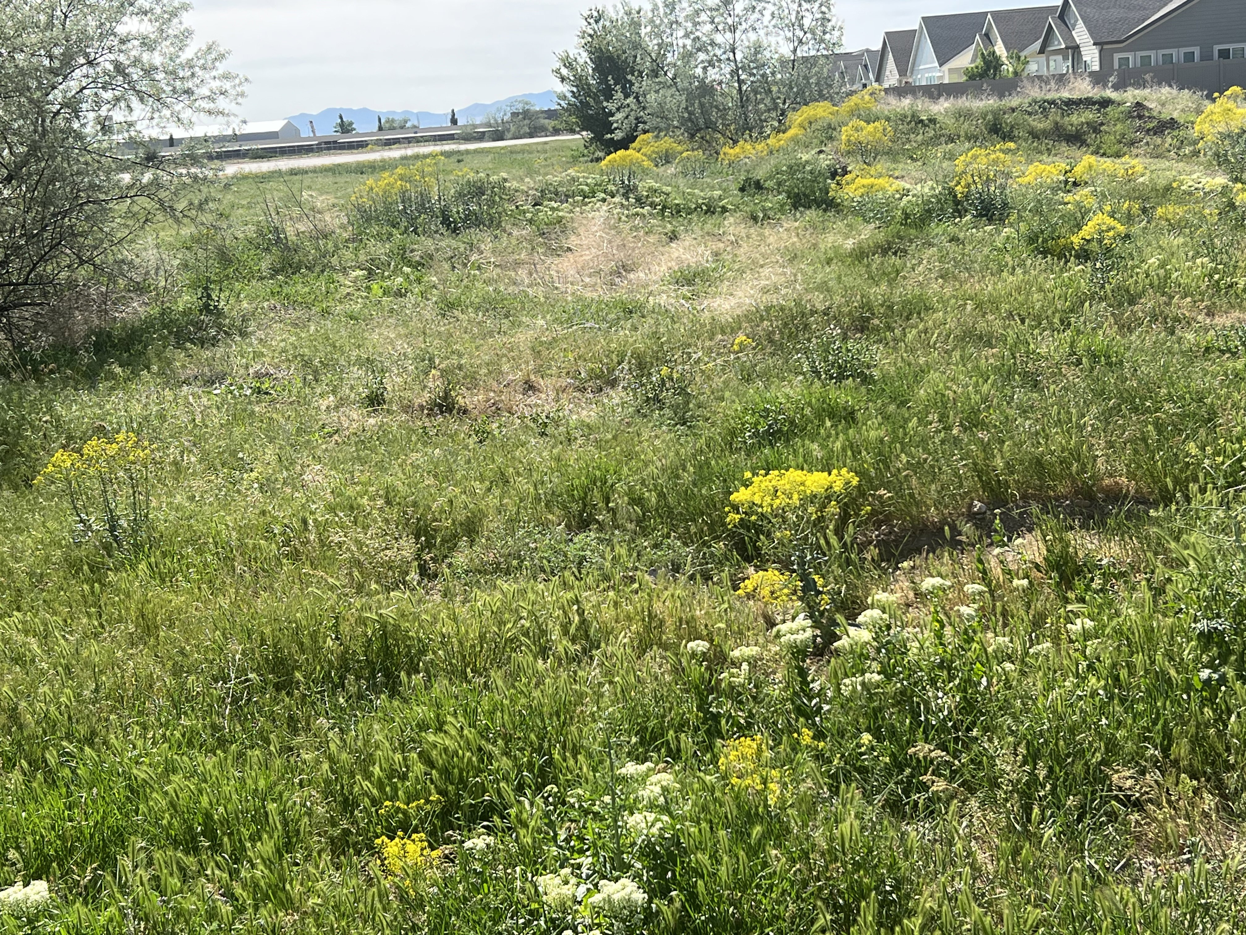 View looking south