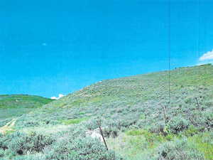 View Of Property