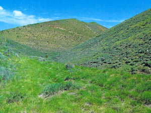 View Of Property