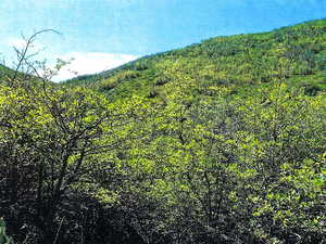 View Of Property