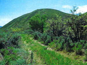 View Of Property