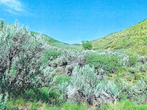 View Of Property