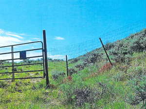 Gate on South Fence