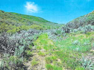 View Of Property